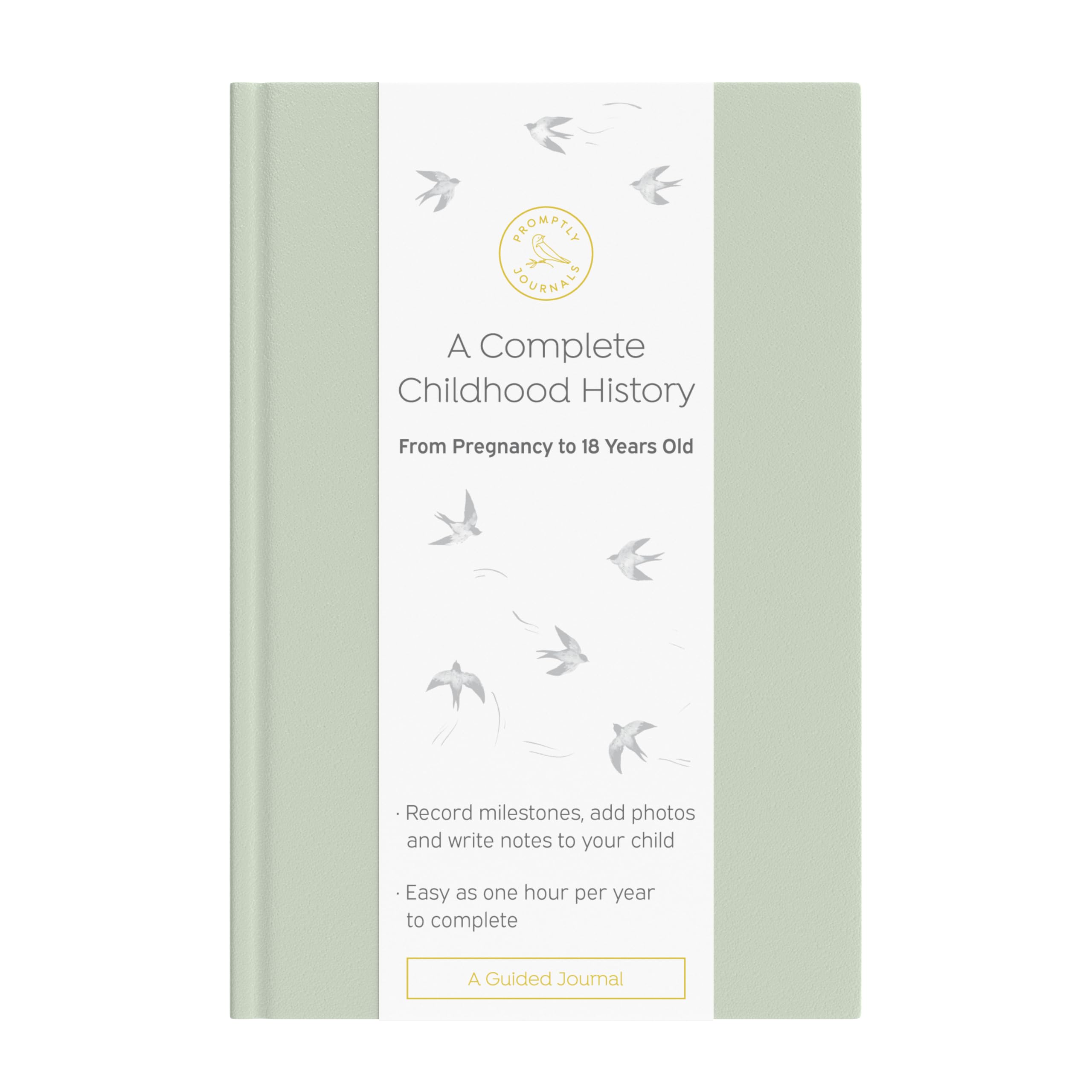 Promptly Journals, A Complete Childhood History: From Pregnancy to 18 Years Old 