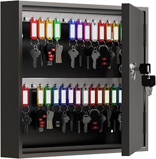 60 Key Lock Box, Commercial Key Cabinet with Key Tags,Wall Mount Key Box