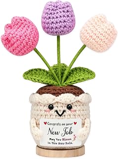 YWYDHX Crochet Flower Pot for New Job Congratulations & New Beginnings | New Job Gifts for Women and Men, Congratulations for New Beginnings, First Day of Work Gift, Farewell Gifts for Colleagues