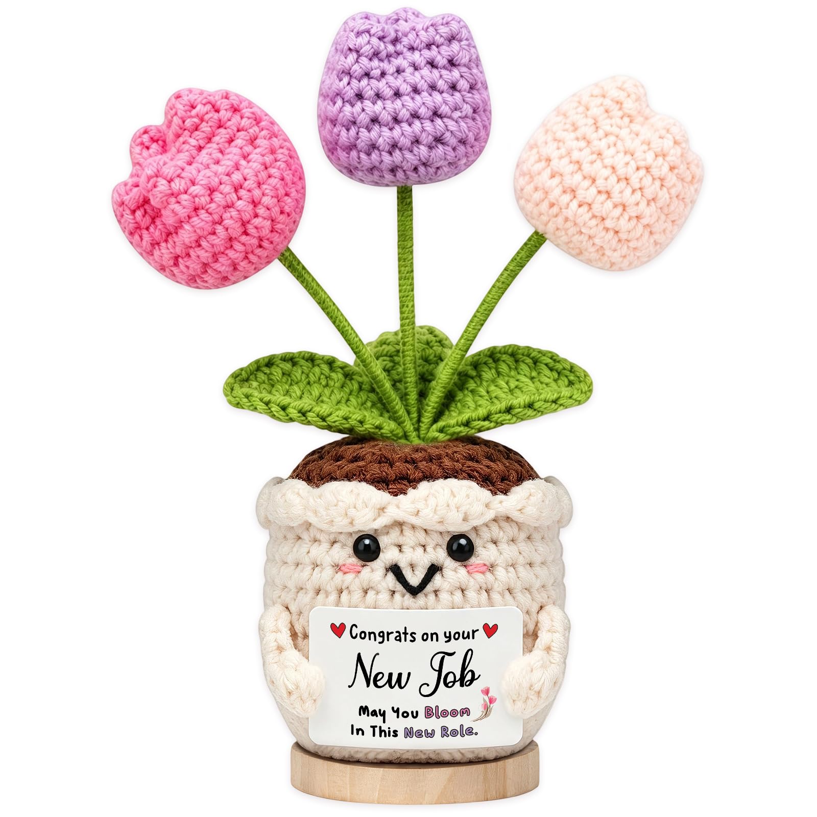 YWYDHX Crochet Flower Pot for New Job Congratulations & New Beginnings | New Job