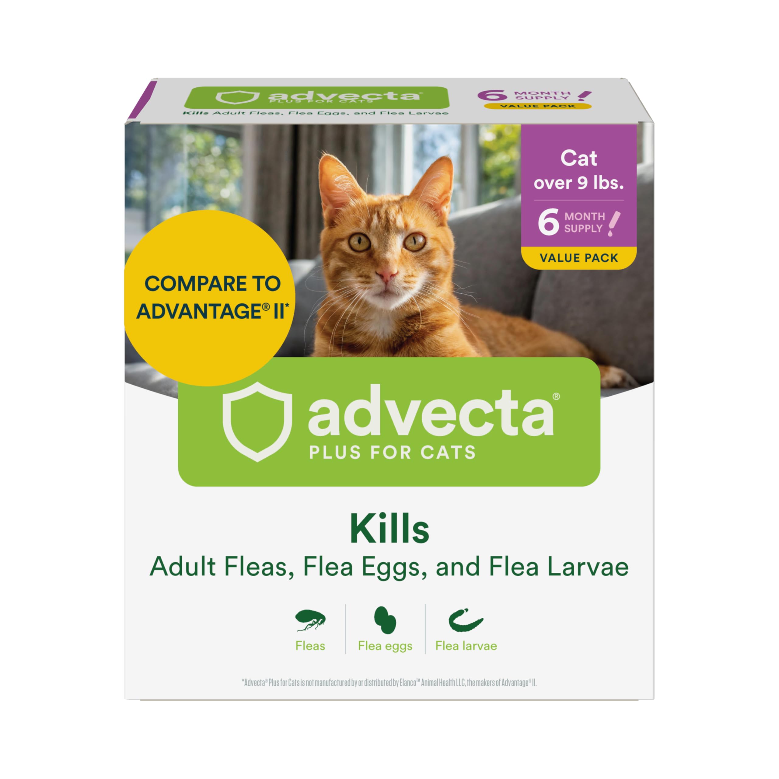 Advecta Plus Cat Flea Treatment 9+ lbs, Imidacloprid, 6-Month | Ideal for Large 