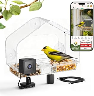 Window Bird Feeder with Strong Suction Cups & Smart Waterproof Bird Camera | 2K Clear Vision, AI Bird Recognition Tech, Real-Time Alerts, Easy to Use, Detachable Tray, 2.4G, USB Powered, for Home