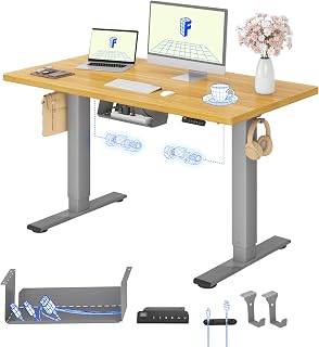 FLEXISPOT Desk Adjustable Height 120 x 60 cm, 2 Motors, Single Top 25 mm, Memory & Height Display, Ergonomic with Cable Management, Undershelf Shelf, Hooks and Cable Clips