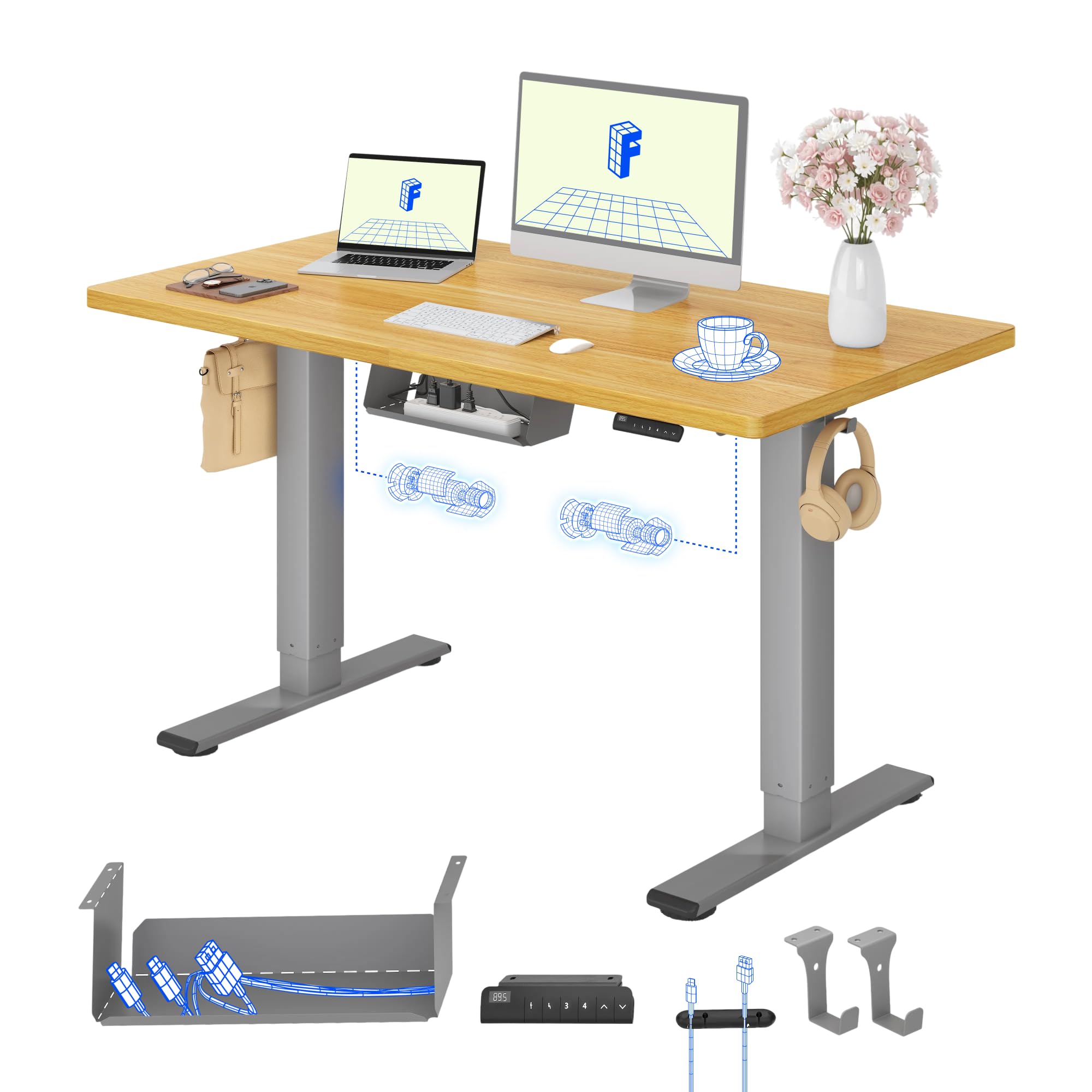 FLEXISPOT Desk Adjustable Height 120 x 60 cm, 2 Motors, Single Top 25 mm, Memory
