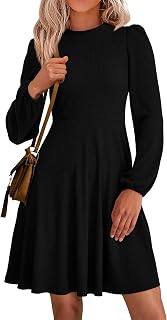 PRETTYGARDEN Womens A Line Long Sleeve Mini Dress