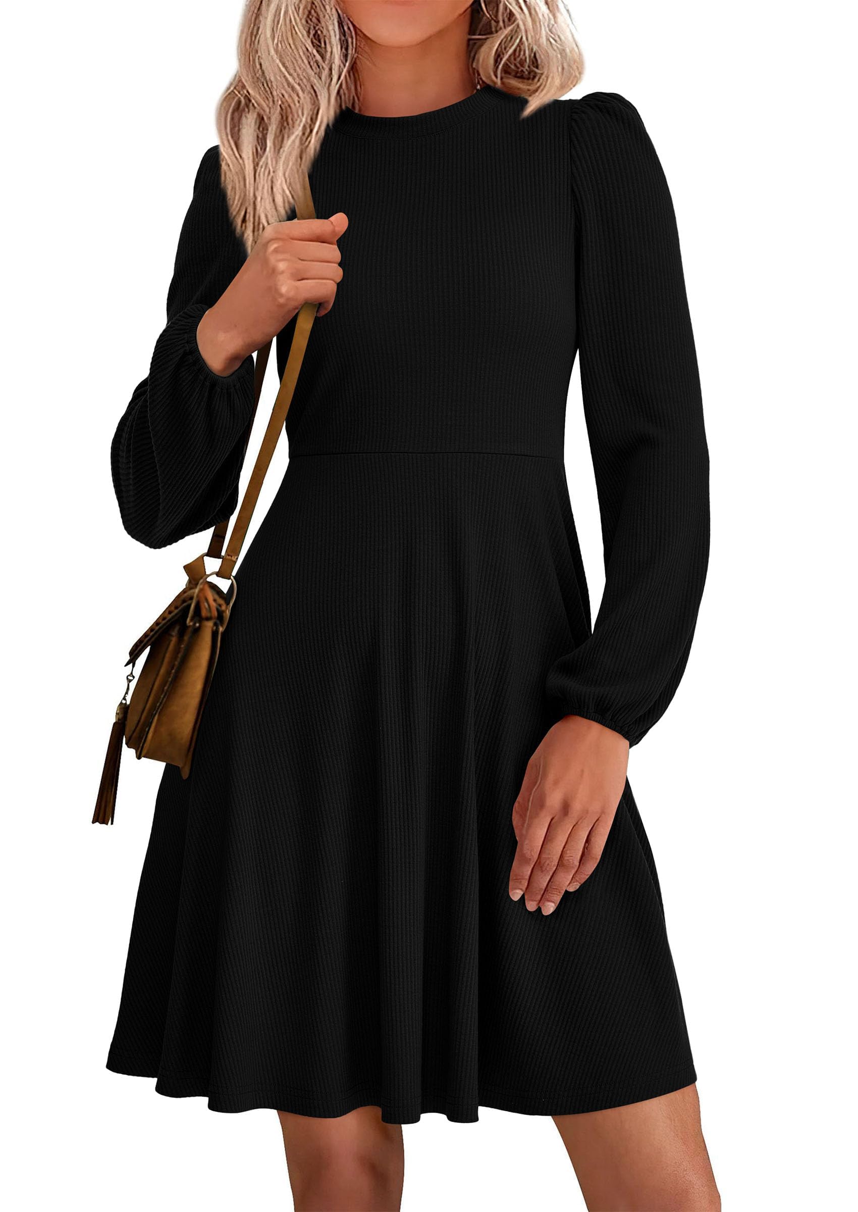 PRETTYGARDEN Womens A Line Long Sleeve Mini Dress