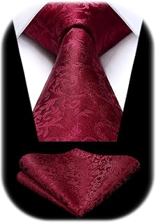 HISDERN Paisley Floral Men's Ties Modern Necktie and Pocket Square Matching Classic for Wedding Party Business