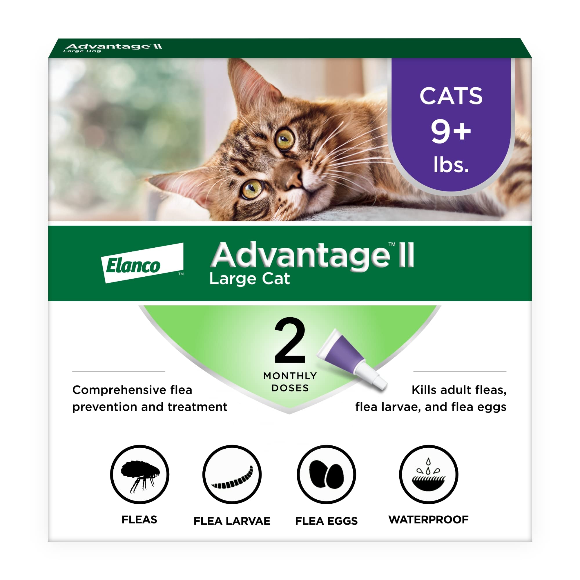 Advantage II Large Cat Topical Flea Treatment & Prevention, 2ct | 30-Day Protect