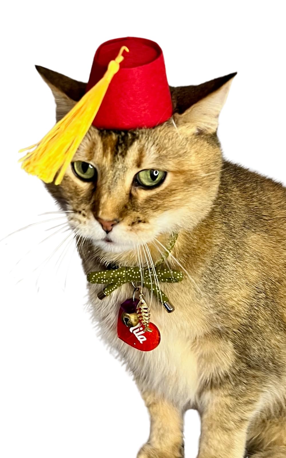 Fez for your Cat, mini Fez hat for Dog or Pet Play as Doctor who wears a Fez