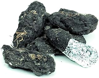 Barn Owl Pellets - Large - Pack of 6