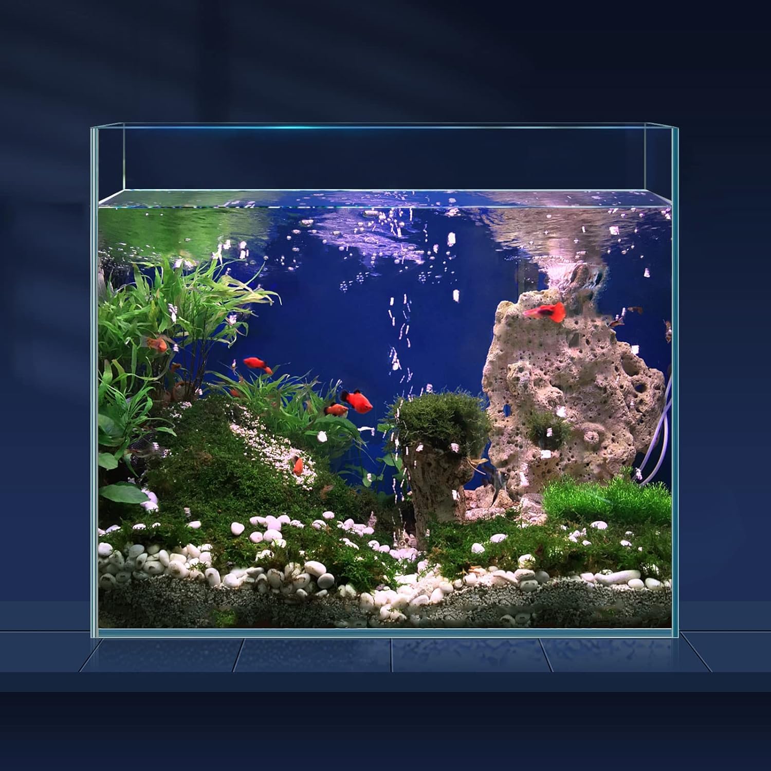 LAQUAL 6.5 Gallon Ultra Clear Glass Fish Tank, Rimless Low Iron Aquarium for Bet