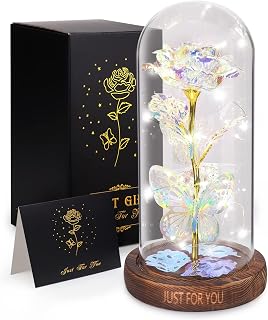 WOKEISE Light Up Rose Butterfly in Glass Dome, Mothers Day Rose Gifts for Mom, Birthday Anniversary Flowers Lighted Roses Gifts for Women,Wife,Mom, Grandma,Girlfriend,Girls,Sister-Silver
