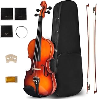 Ceciliec 4/4 Violin For Beginners, CVN-300 Full Size Fiddle Set For Student Adults, Solidwood Ebony Fitted Starter Violins Kit with Hard Case, Bow, Stringed Musical Instruments