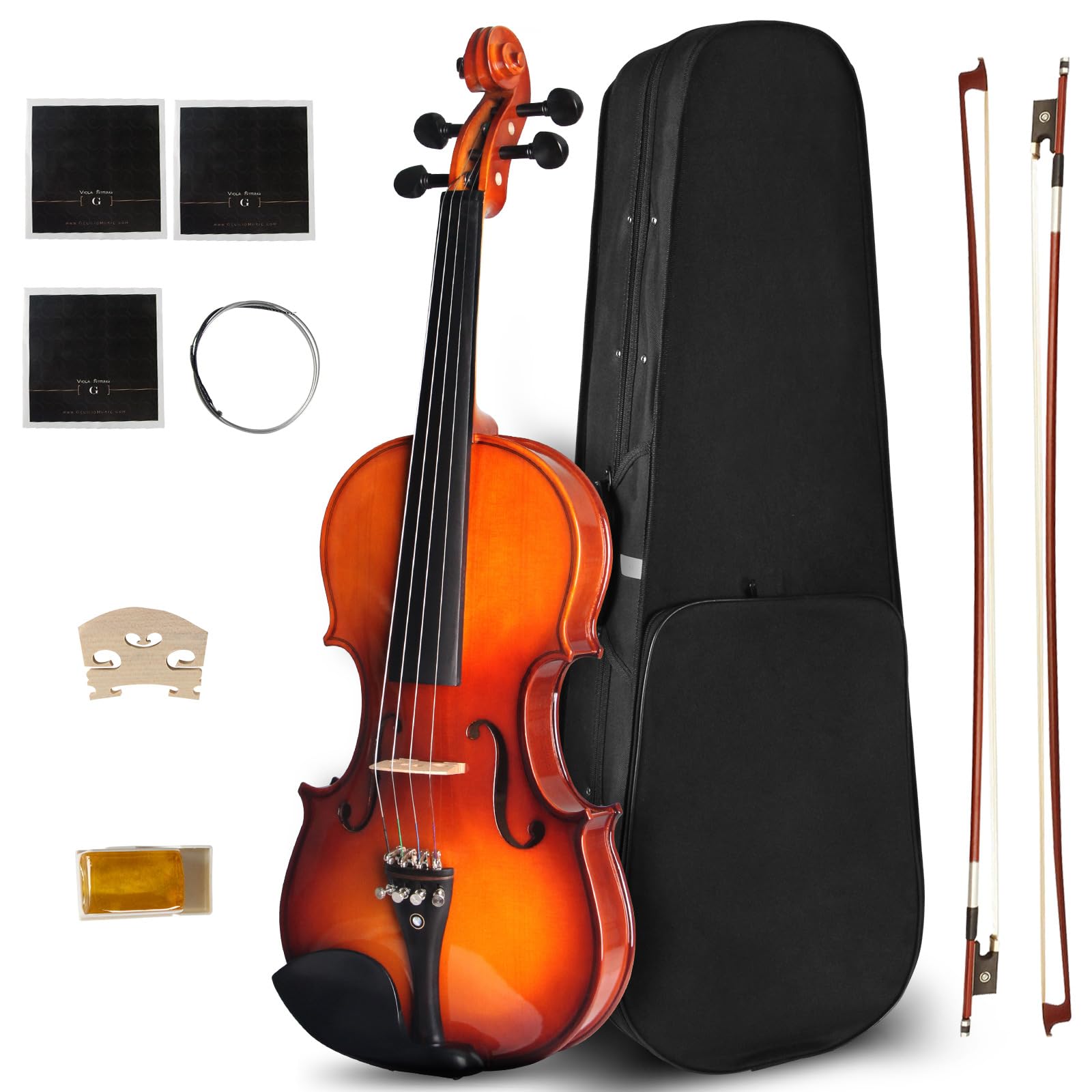 Ceciliec 4/4 Violin For Beginners, CVN-300 Full Size Fiddle Set For Student Adul