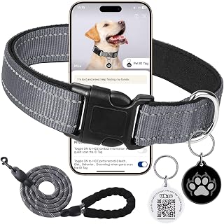 Reflective Dog Collar with Adjustable Buckle Dog Safety Nylon Grey Large 5 Feet Leash and C12 Smart QR Code Anti-lost Pet ID Tag