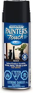 Painter's Touch Spray Paint in Flat Black