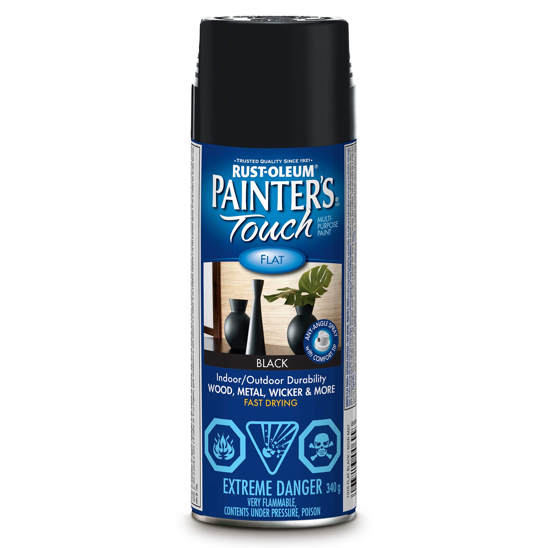 Painter's Touch Spray Paint in Flat Black