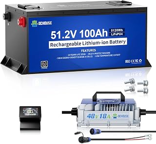 DC HOUSE Metal Case 48V 100Ah Pro Golf Cart LiFePO4 Battery w/18A Charger | 200A BMS, Peak current 670A, Bluetooth mobile app, LCD monitor, includes 48V 18A charger, for Golf Cart