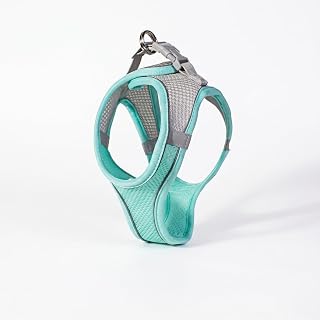 Adjustable Soft Mesh Cat Harness with Reflective Trim for Daily Walking and Outdoor Use, Green, Medium