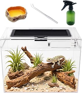 Reptile Growth Plastic Terrarium,30 x 18 x 23 cm Reptile Tank with Full View Visually Appealing，for Insect，Fish，Tarantula，Hermit Crab，Jumping Spider，Iguana，Tortoise，Leopard Gecko.