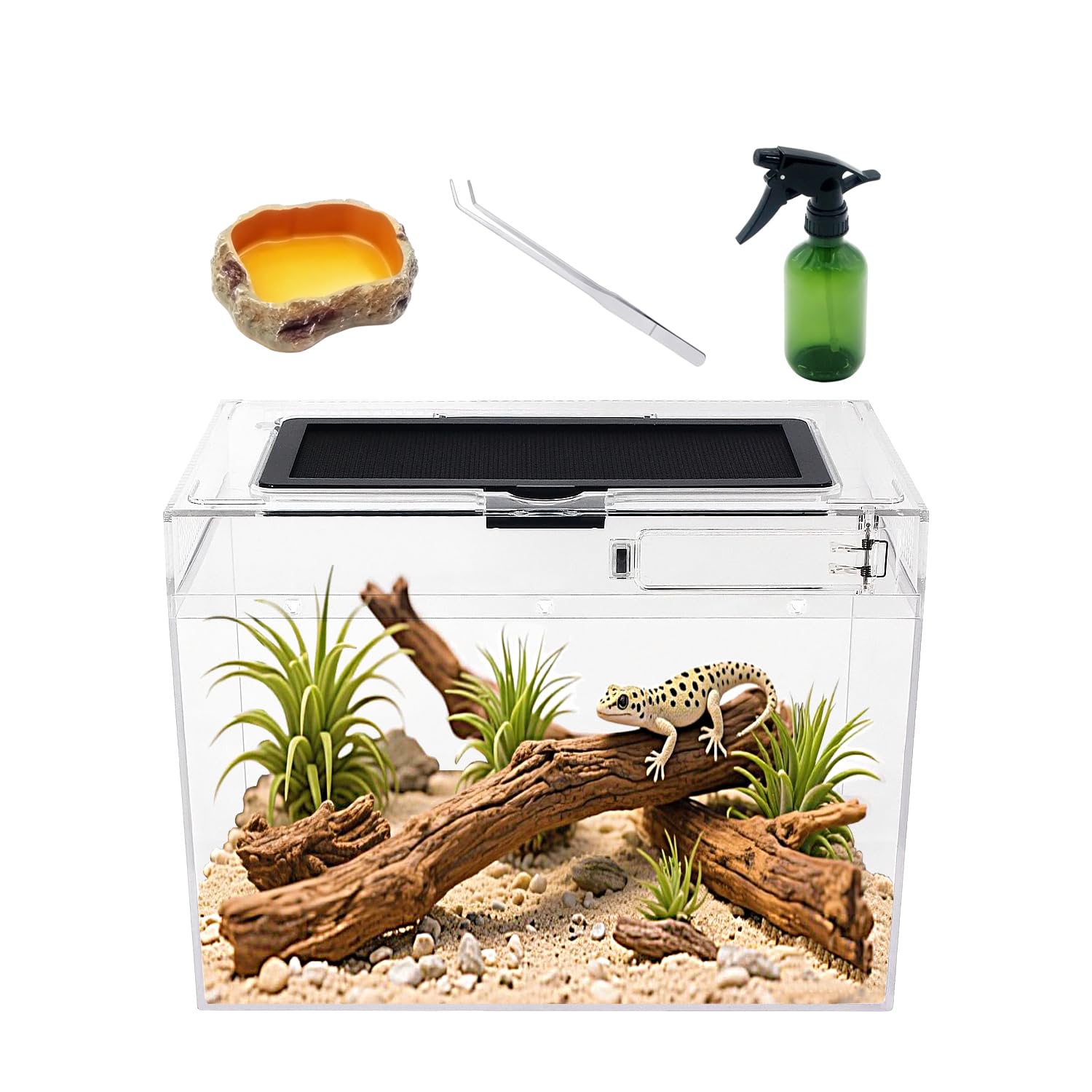 Reptile Growth Plastic Terrarium,30 x 18 x 23 cm Reptile Tank with Full View Vis