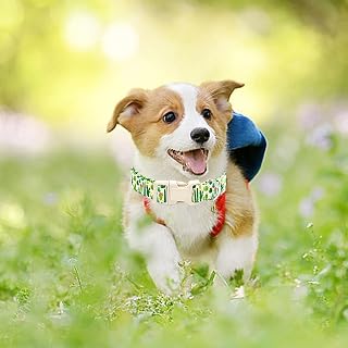 Dog Collar, Green Cactus Print Color, X-Small Dog, Spring and Summer, Women or Men Collars, Pet Gifts, Adjustable, Durable, Cute Puppy Collar
