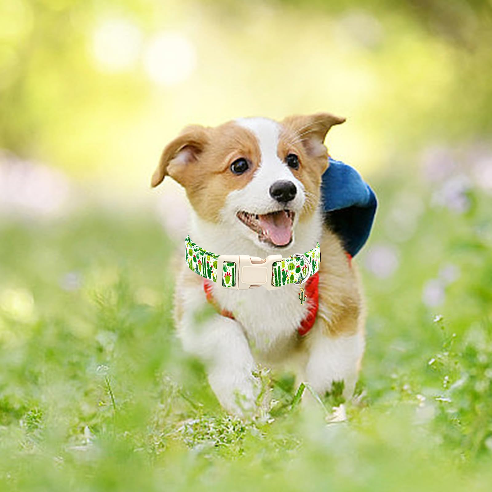 Dog Collar, Green Cactus Print Color, X-Small Dog, Spring and Summer, Women or M