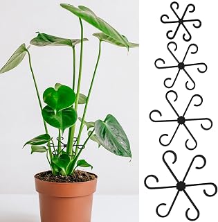 AUGSHY 4 Pcs Plant Stem Holders Plastic Invisible Plant Support Stakes | Indoor Reusable Climbing Houseplant Stem Supports Hook, Growth Accessories for Indoor Home Garden, 4 Pieces of Different Size