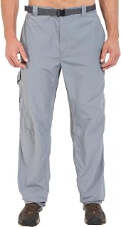 Columbia Men's Silver Ridge Cargo Pants