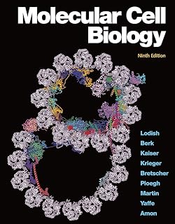 Molecular Cell Biology (842581)