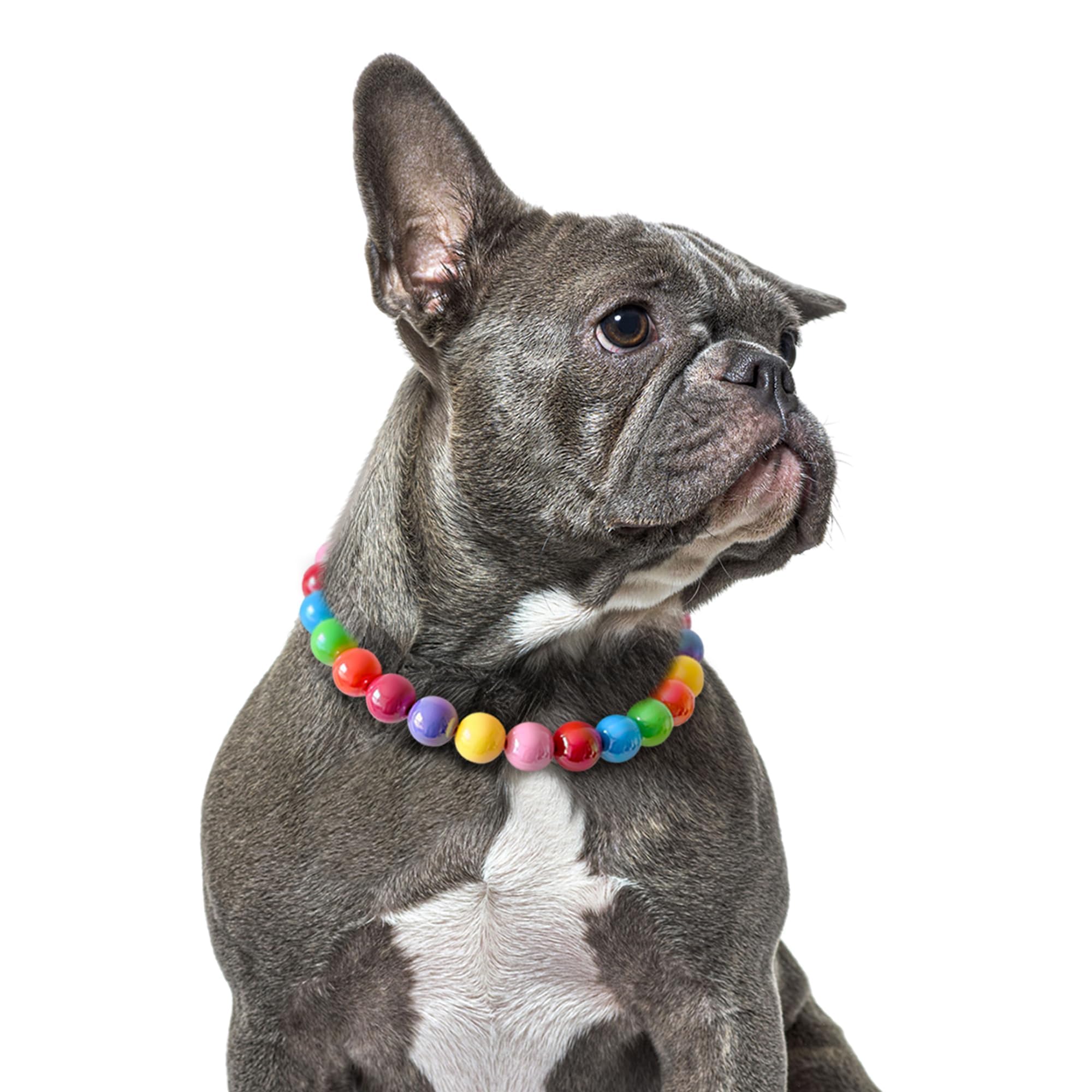 JOGIA Rainbow Beaded Dog Collar – Colorful Adjustable Decorative Collar for Smal