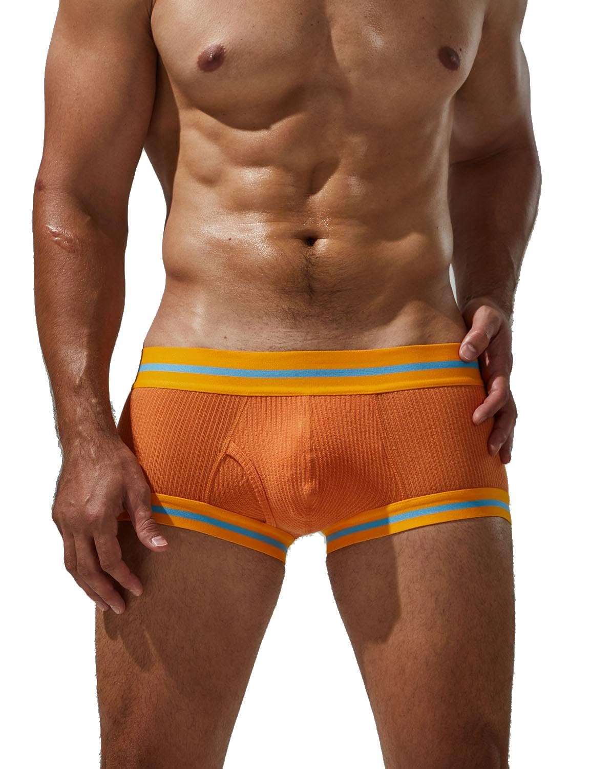 Boxer Taille Basse Sexy en Soie glacée Modal pour Homme
