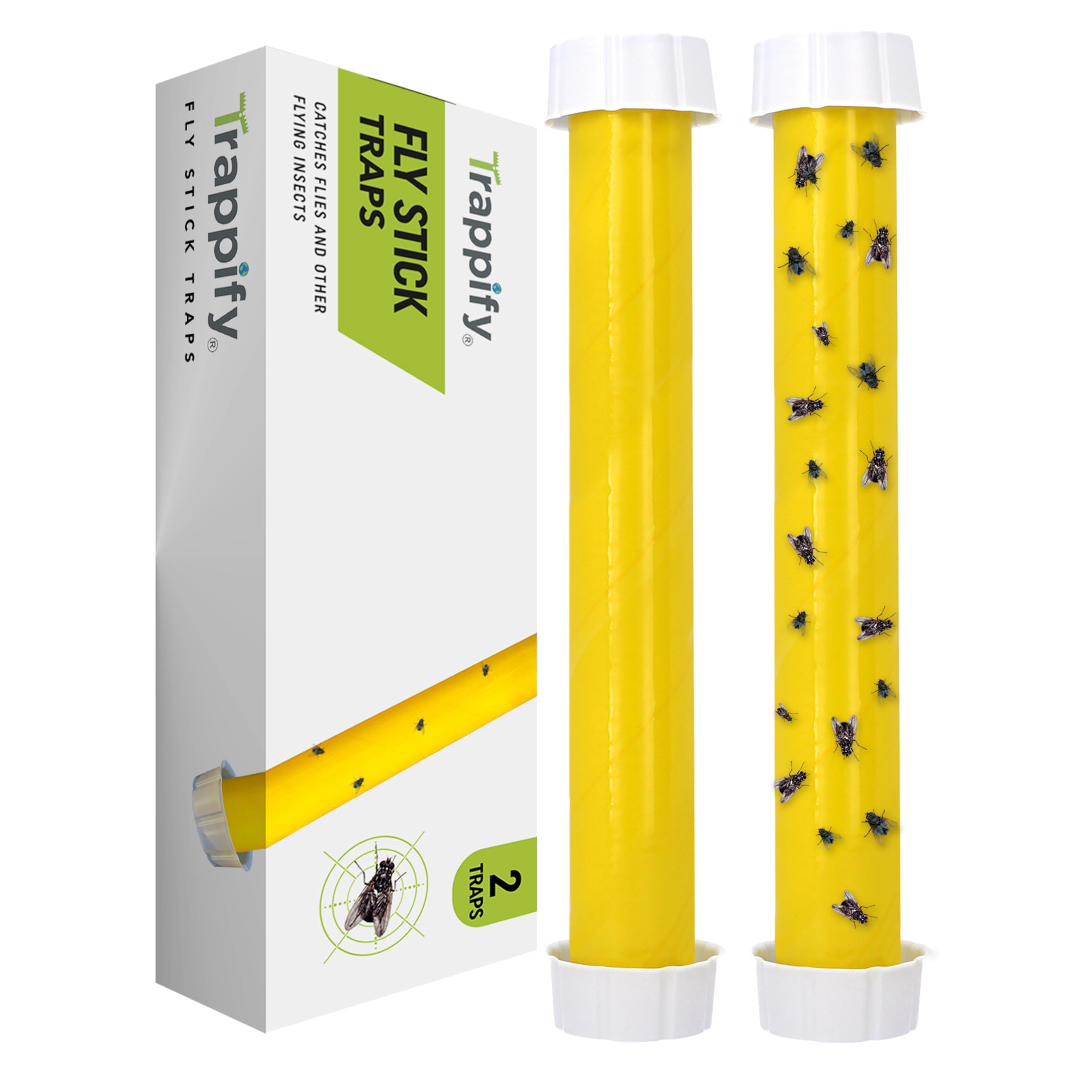Trappify Hanging Fly Trap Indoor Outdoor - Sticky Fly Catcher, 2 Pack | Recycled