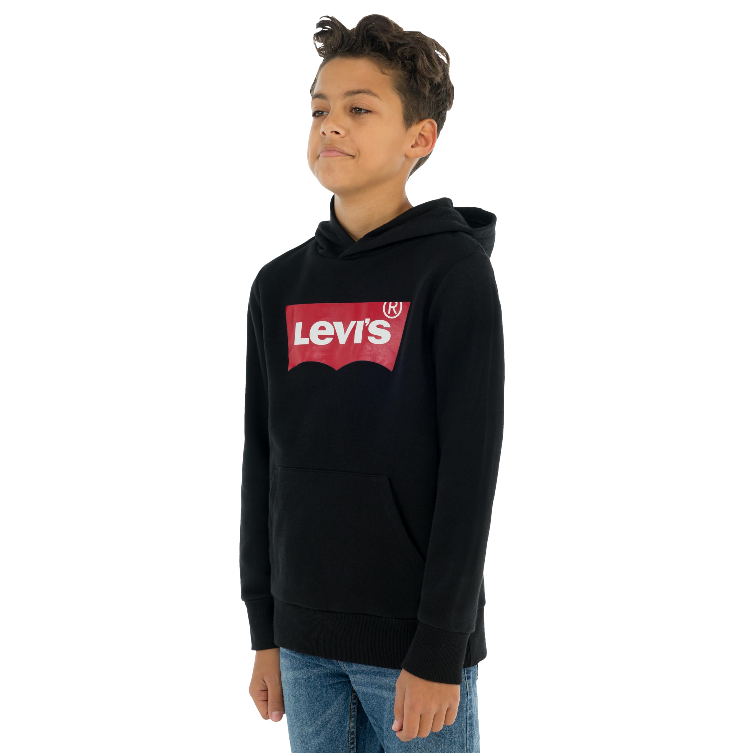 Levi's Kids Boy's Lvb Batwing Screenprint Hoodie Hooded Sweatshirt (pack of 1)