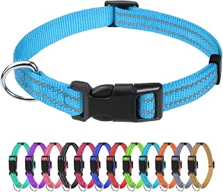 TagME Small Dog Collar, Reflective Puppy Collar, Sky Blue, 3/8" Width | Lightweight, Nylon Collar for Puppies, Chihuahua, Yorkie & Teacup Dogs 5-15 Lbs, Reflective for Evening Walks, 12 Colors