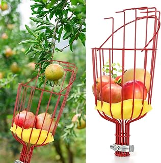 13 Ft Fruit Picker Pole Tool with Basket, Telescoping Long Handle Stainless Steel Fruit Picking Tool for Orange, Citrus, Pear (1)