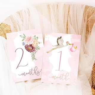 Monthly Milestones Cards for Kids, New Moms Gift, Baby Shower, Milestone Month, Monthly Photos (Girl)