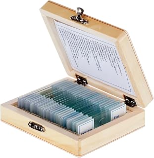 AmScope PS25 Prepared Microscope Slide Set for Basic Biological Science Education, 25 Slides, Includes Fitted Wooden Case Brown