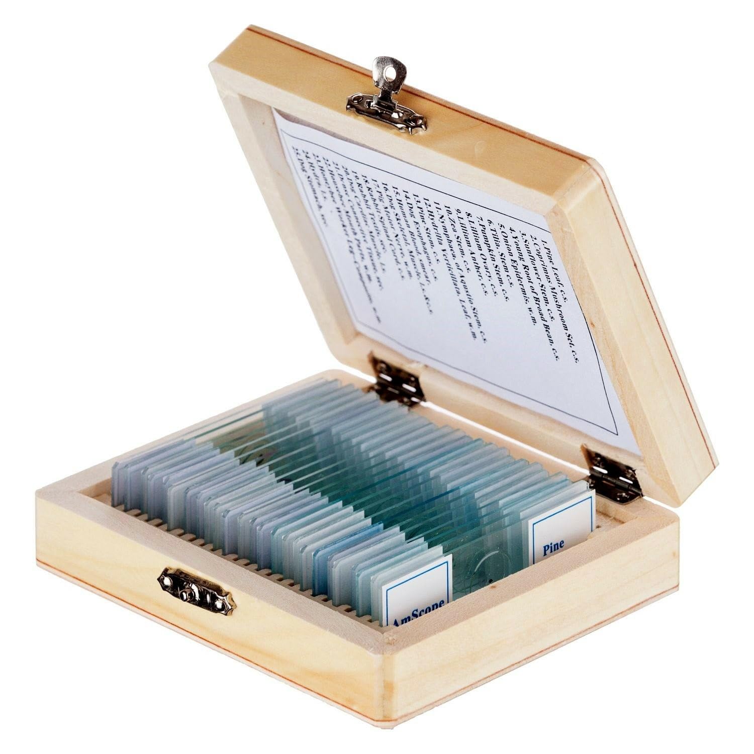 AmScope PS25 Prepared Microscope Slide Set for Basic Biological Science Educatio