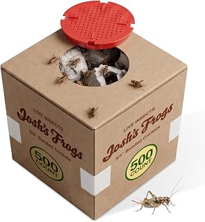 Josh's Frogs 3/4" Banded Feeder Crickets for Pets (500 Count) | Long Storage Protein Food Crickets, Healthy Active Prey for Leopard Geckos, Bearded Dragons, Tree Frogs, Frogs, Birds, Bats