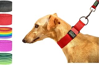 bub's Martingale Collar – Dog Collar, Anti-Allergic and Soft, Designed for All Kinds of Dog Breeds and Especially for Greyhounds and Podencos (Red, L 40 mm Width)