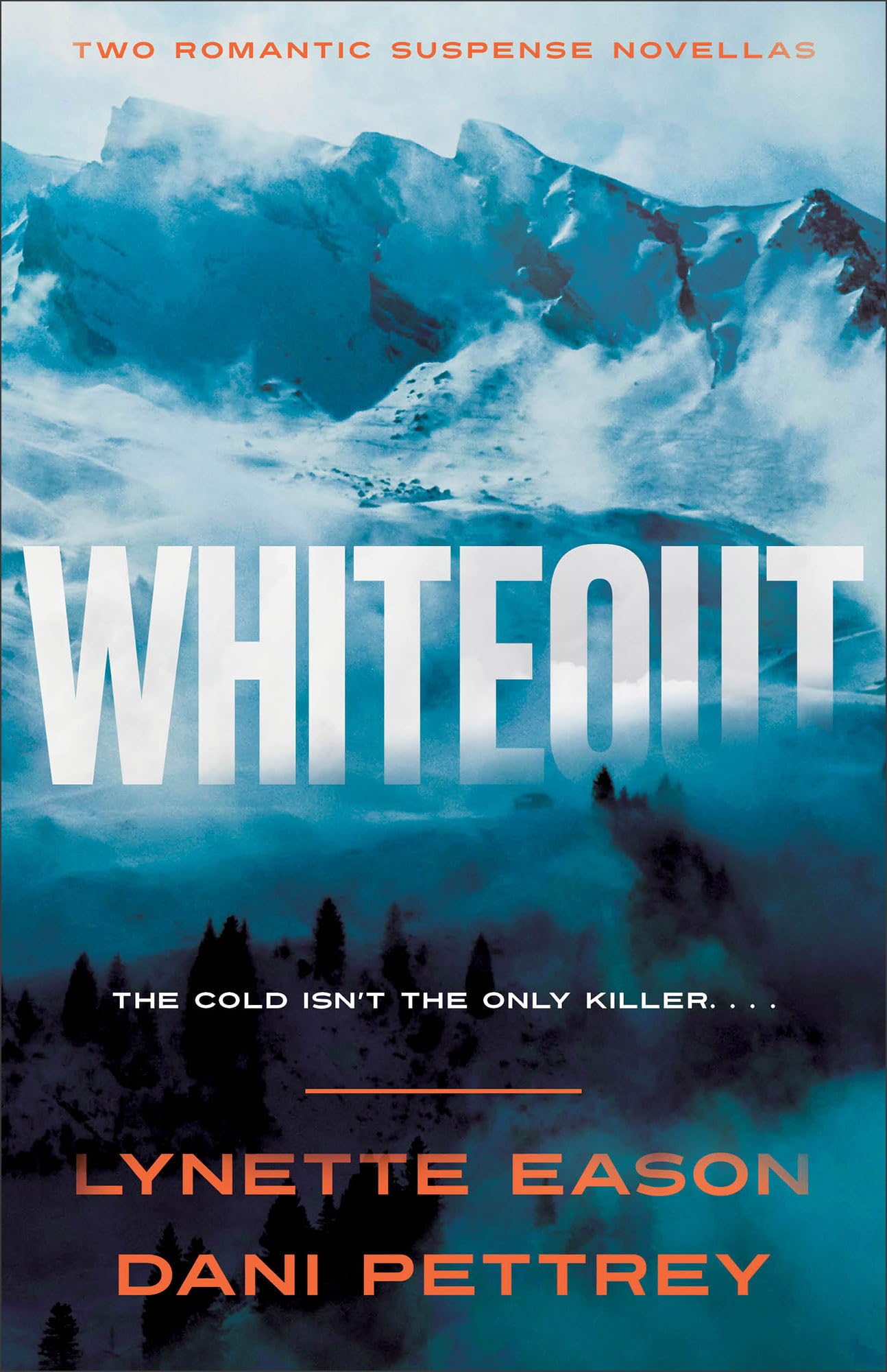 Whiteout: An Action Adventure Thriller Romantic Suspense 2-in-1 Novella Collecti