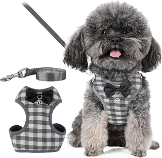 Tkxjry Dog & Cat Harness Leash Set, with 1.2 M Leash, Adjustable Soft Cat Vest Harness, Rabbit Harness for Walking Escape Proof, for Ferret, Kittn, Outdoor, Hiking, Training