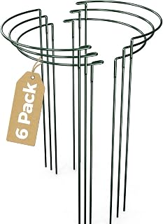 Bamworld 6 Pack Half Round Plant Support Stakes Sets Strong Versatile Peony Cages and Supports Plant Support Ring for Indoor and Outdoor Plants Such as Peonies Tomatoes Roses Flowers