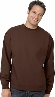 Hanes Men's Hanes Ecosmart Sweatshirt for Men