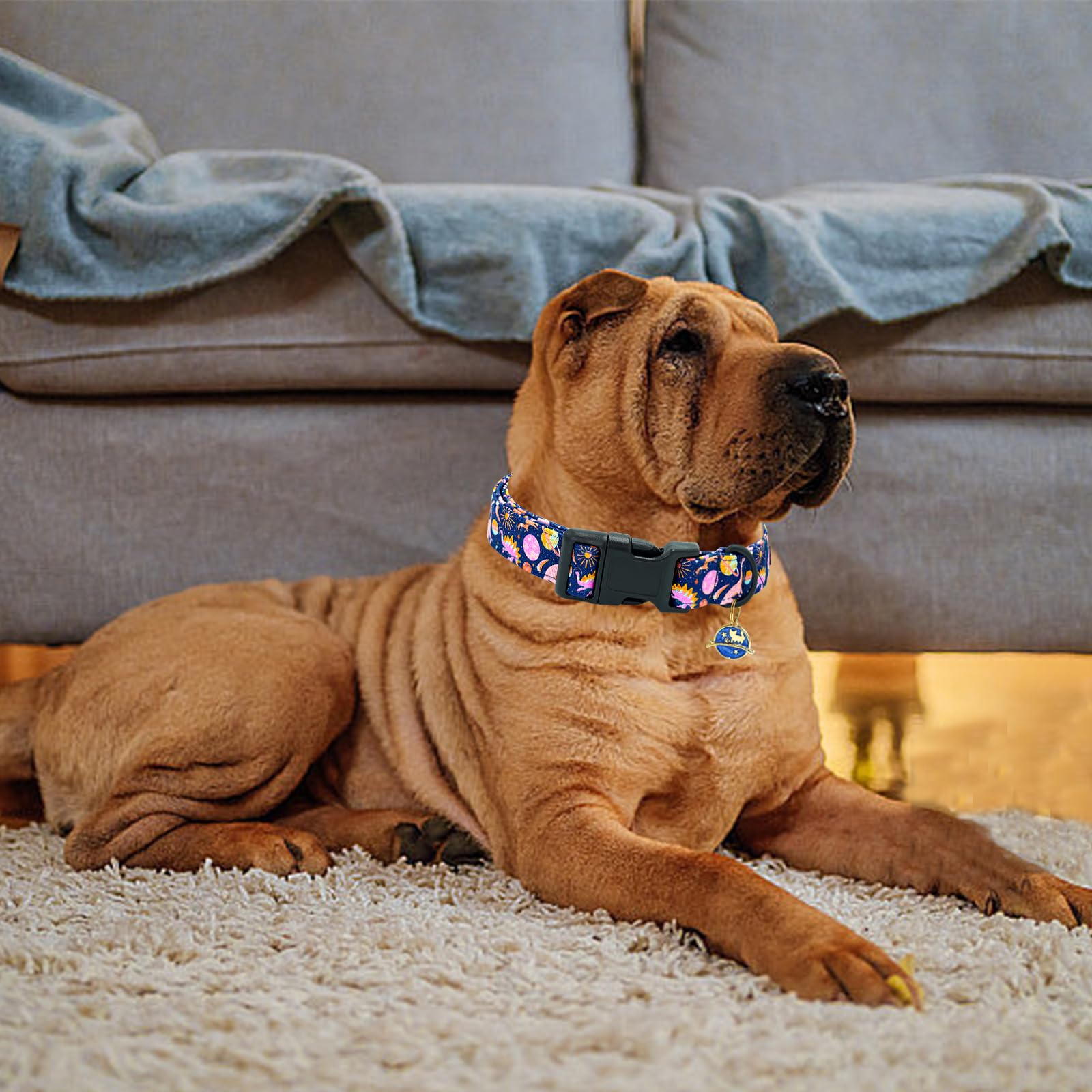 Dog Collar Dinosaur Cute Collar X-Small Dog Spring Summer Women Men Collar Pet G