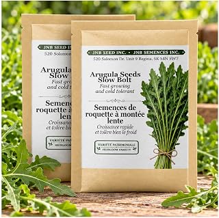 Arugula Seeds Roquette Rocket – Approx. 9,000 Seeds, 2 Packs for Garden | Indoor Hydroponics Culture With Tender Foliage, Quick Harvests, Kitchen Containers, Culinary Dishes, And Easy Growing