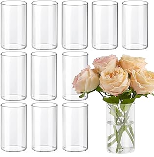 TBWIND 12pcs 6 Inch Clear Glass Cylinder Vases for Centerpieces | Flower Vases for Wedding, Home & Party Decor, Hurricane Floating Candle Holders for Table & Shelf