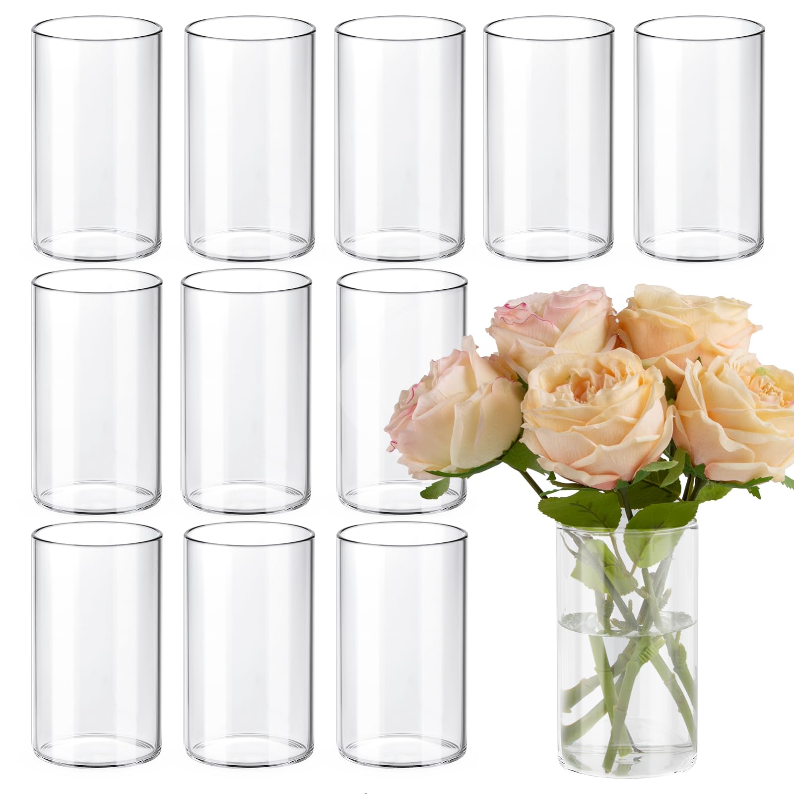 TBWIND 12pcs 6 Inch Clear Glass Cylinder Vases for Centerpieces | Flower Vases f