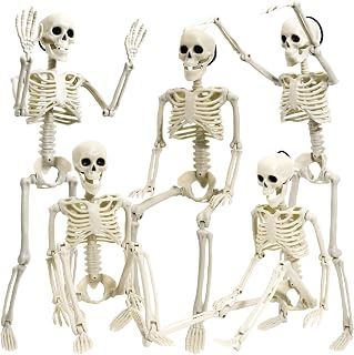 5 Pack Halloween Skeleton Decoration,16"Full Body Posable Skeleton Realistic Human Bones with Posable Joints for Halloween Pose Prop Decor Yard Lawn Garden Patio Outdoor Haunted House Decorations